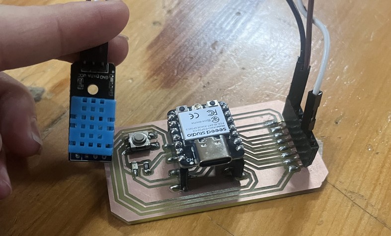 Extracted template files